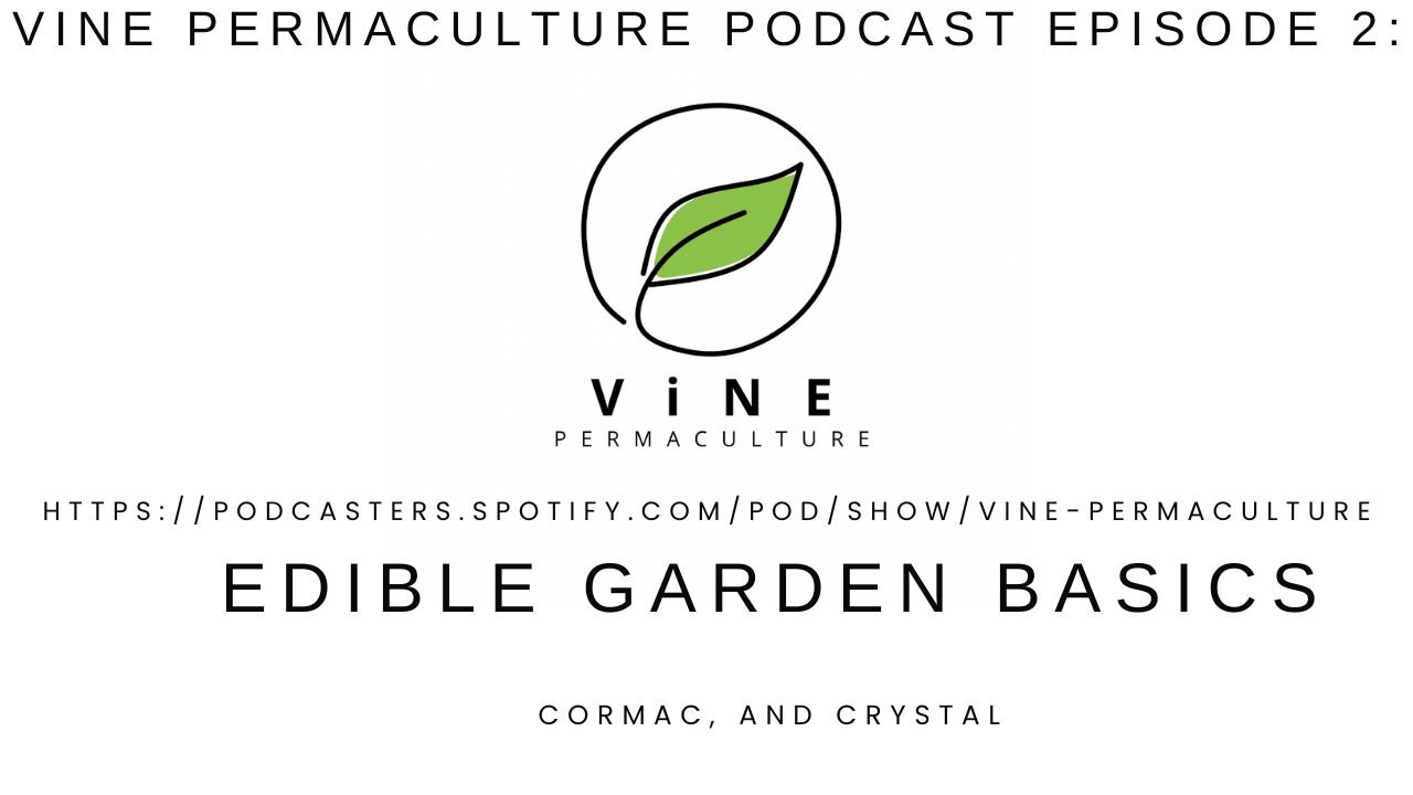 Vine Permaculture Podcast Episode 2: Edible Garden Basics