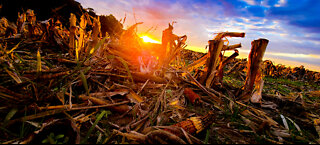 A Fall Sunrise