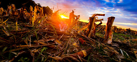 A Fall Sunrise
