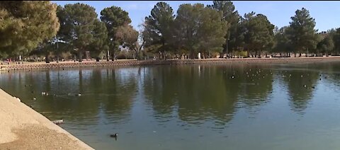 What's lurking in the lake at Sunset Park in las Vegas?