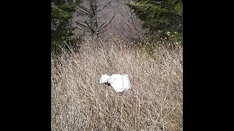 You don't see this everyday!