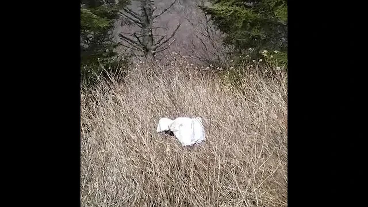 You don't see this everyday!