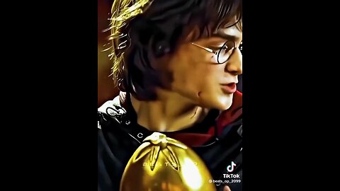 The Harry Potter Goblet of fire