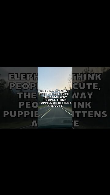 Incredible Random Facts That Will Expand Your Mind! [2023] #shorts #facts #viralshorts #fyp #life