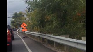 Policial se esconde atrás de arbustos em estrada