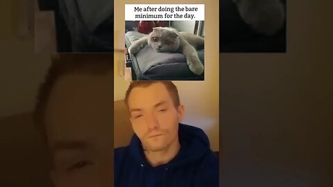 Cat memes #funny #viral #comedy #comedyshorts #fjb