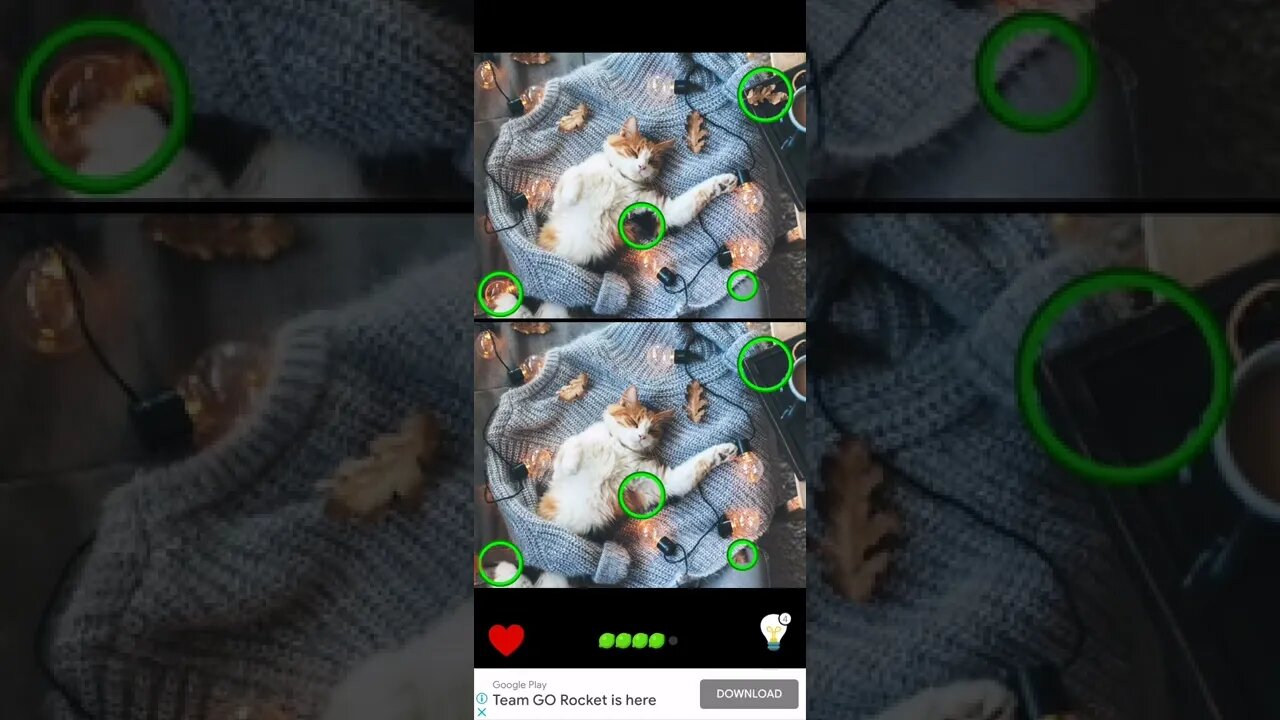 Find the Difference - Level 15