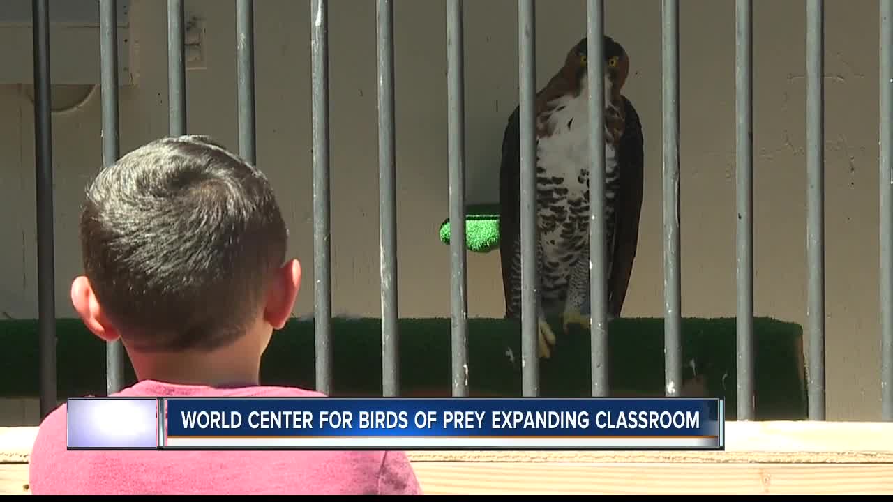 World Center for Birds of Prey plans expansion