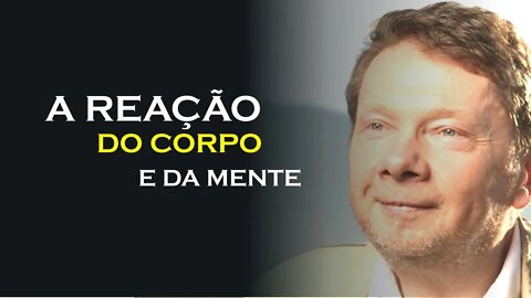 QUAIS AS REAÇÕES DO CORPO E DA MENTE, ECKHART TOLLE DUBLADO