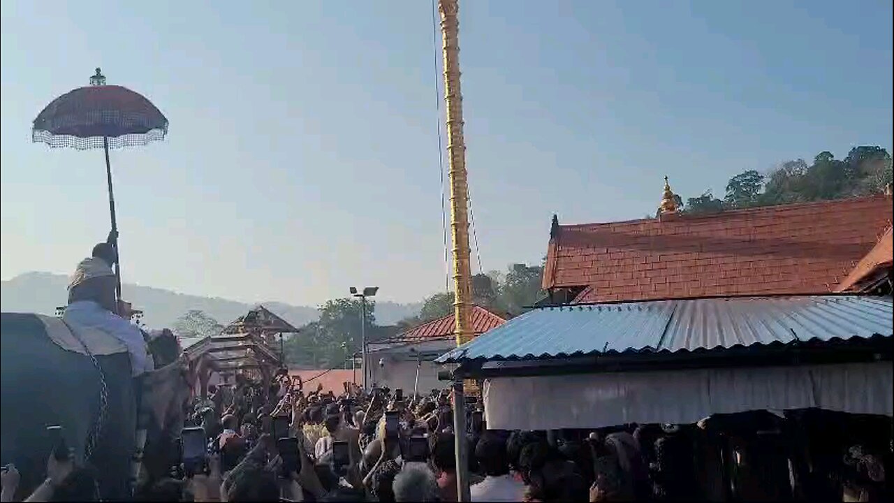 Elephant ð goes crazy ðĪŠ ð ðģ