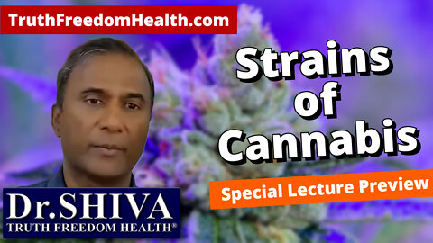 Dr.SHIVA: What Are The Different Strains of Cannabis? - Special Lecture Preview