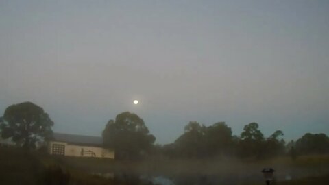 The morning of 1/18/2022 Venus Ranch