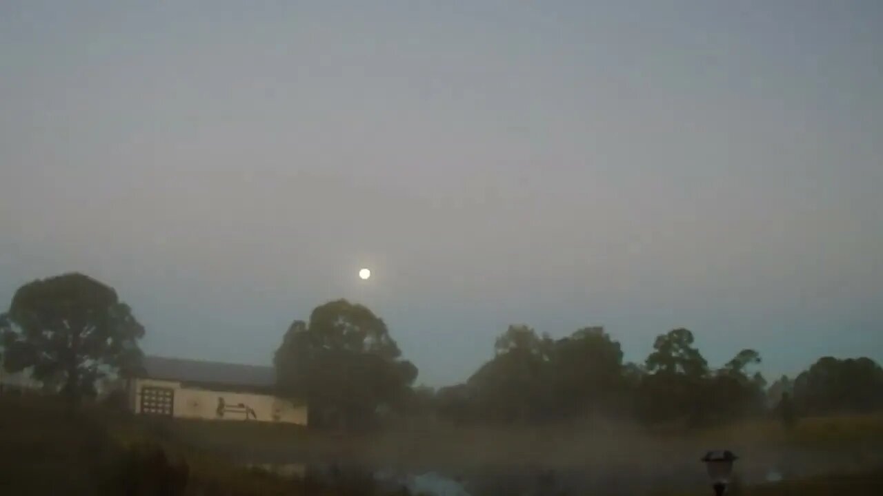 The morning of 1/18/2022 Venus Ranch