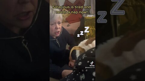 Salacious is tired and needs a nap now! #shorts #tired #sleepy #snoring #monkeylizard #mla