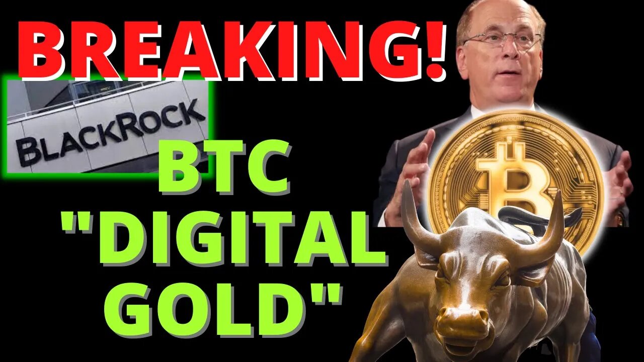 CEO Of $9 Trillion BlackRock Just Called Bitcoin "DIGITAL GOLD" On LIVE TV | Bull Cycle Started?