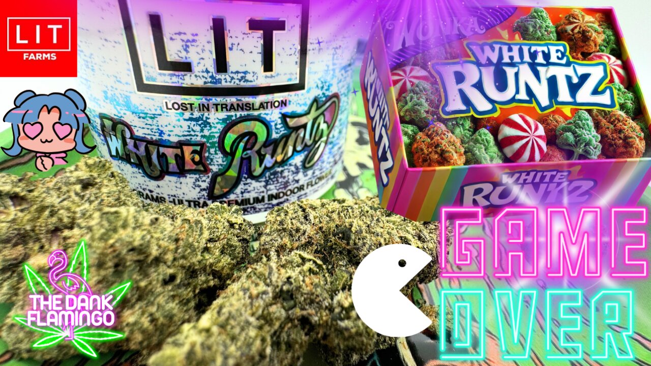 Trying White Runtz THCa from Lit Farms! The Dank Flamingo Cannabis Review!!