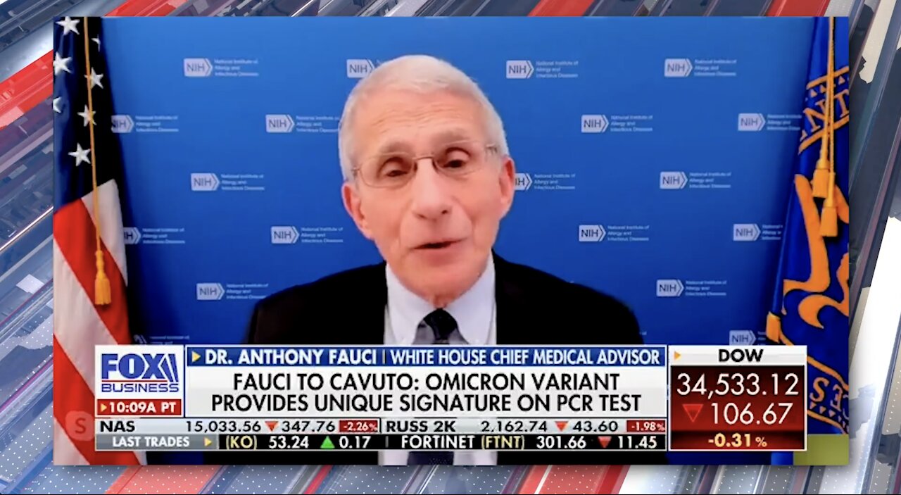 Mammoth Nation Weekly Update - December 5th