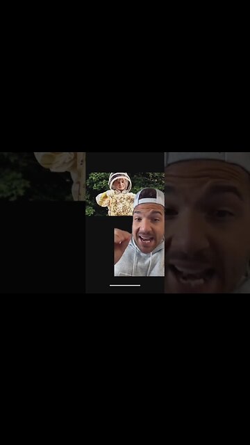 Do bees help you live longer?