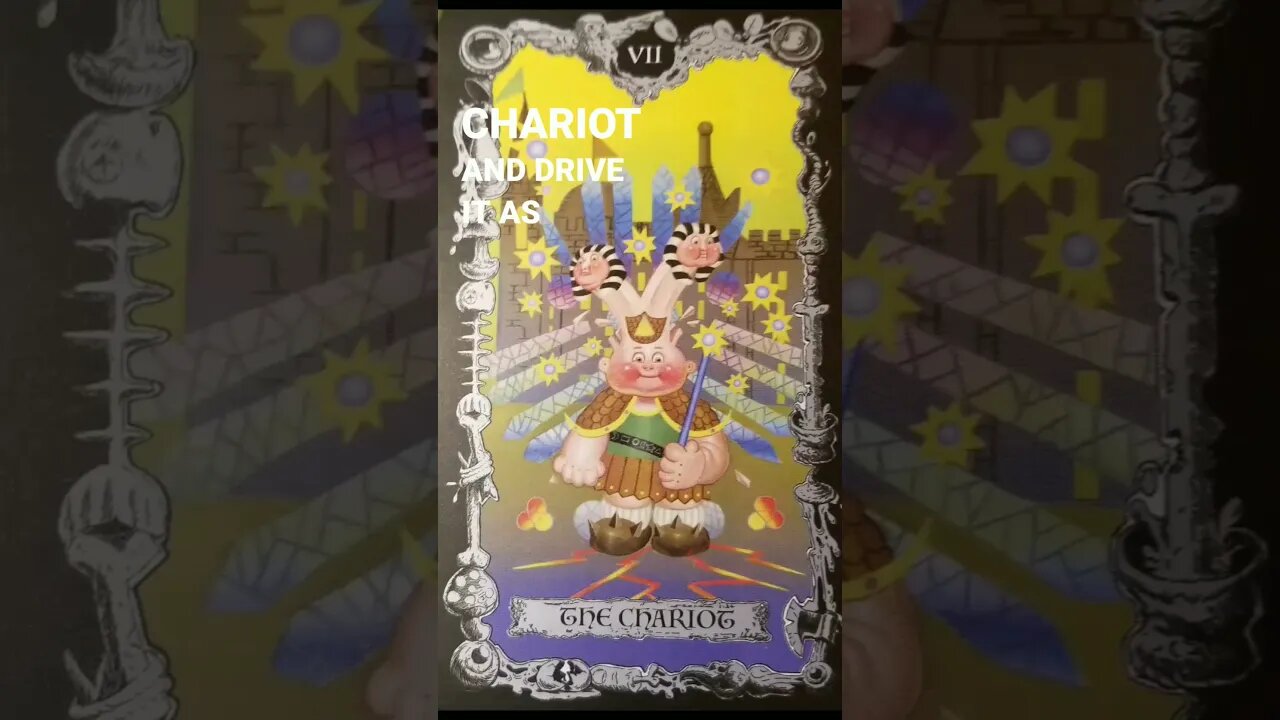 Daily Tarot Card