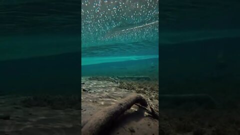 Over🏔 and Under🐟