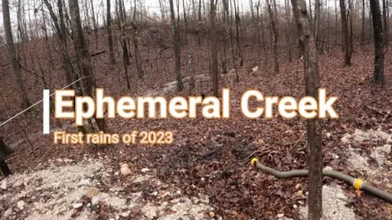 Ephemeral Creek