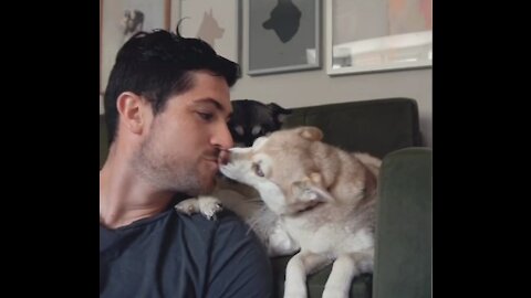 Dog and owner kissing SO CUTE