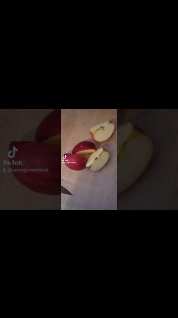 Freezing Apples on the Homestead