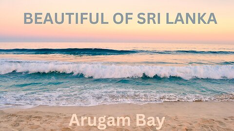 Arugam Bay