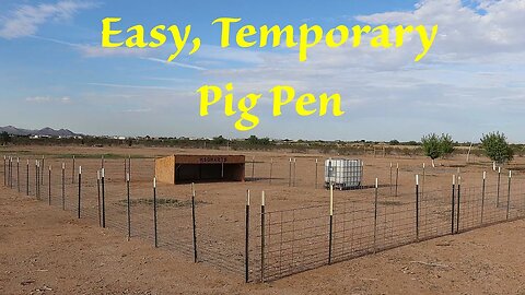 A Pen for Destructive Teenagers | More Rain Arrives!