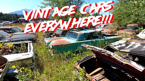 Exploring a Vintage Junkyard