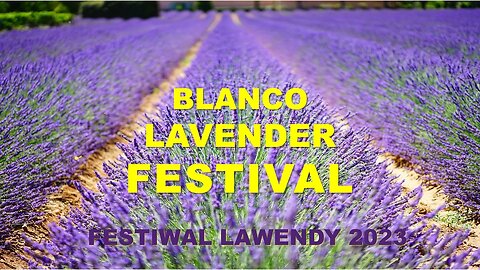 Blanco Lavender Festival - Festiwal Lawendy