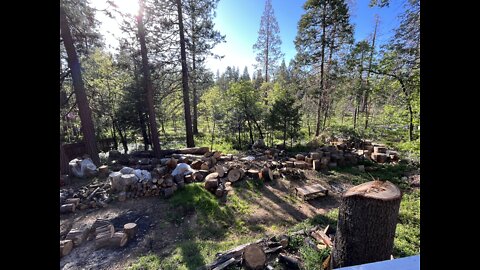 Good Morning, California!