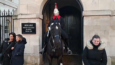 She ducks the horse bite #thekingsguard