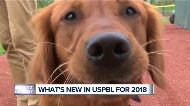 Bat dog "JJ the Field General" among USPBL 2018 additions