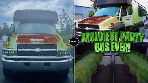 Deep Cleaning the MOLDIEST BIOHAZARD PARTY BUS EVER! | CRAZY Satisfying Car Detailing Transformation