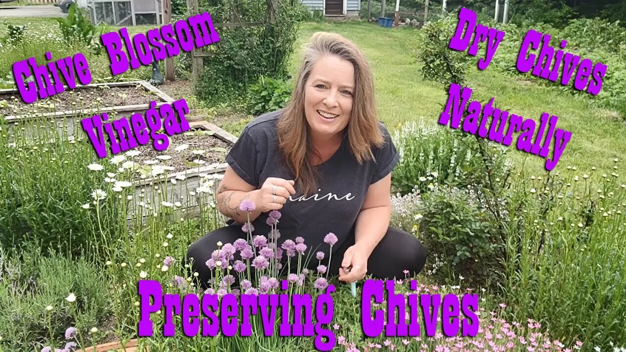 Harvesting & Preserving Chives ~ Prepare to Grow Your Own Food