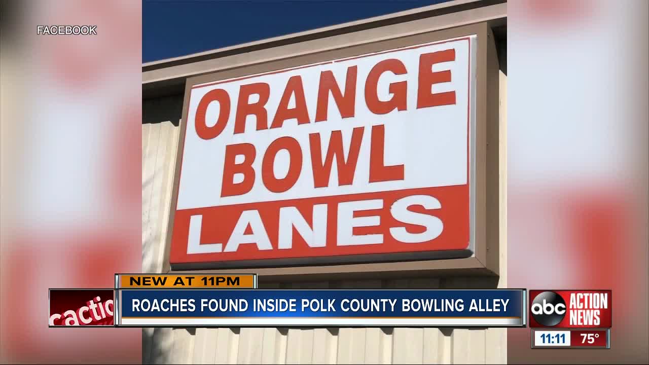 Dirty Dining: Restaurant in popular Lakeland bowling alley shut down multiple times for roaches