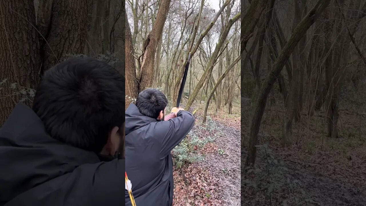 78LBS Saluki Turkish Bow Through The Trees 3D Field #archery