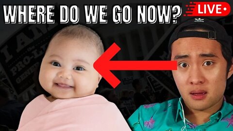 Next Steps for the Pro Life Movement (IMPORTANT!)