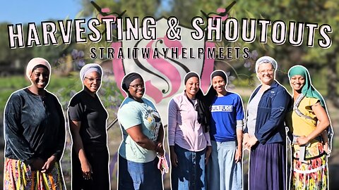 Harvesting & Shoutouts | Straitway Helpmeets