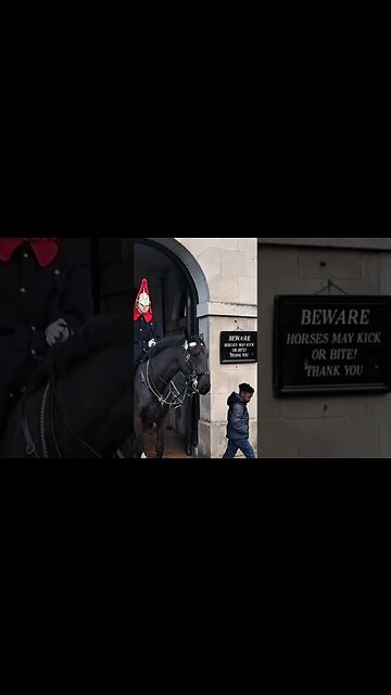 The horse was gentle with the chiled #thekingsguard