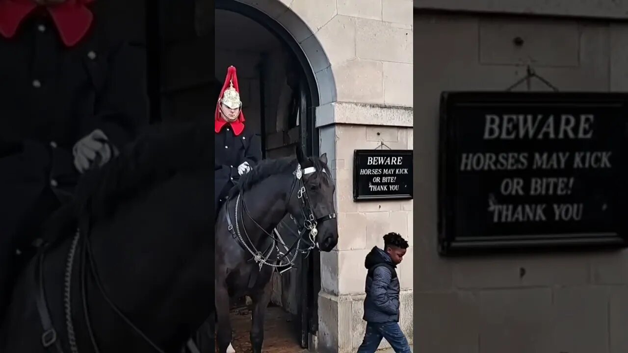 The horse was gentle with the chiled #thekingsguard