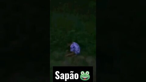 esse sapo🐸 é do tamanho de uma pessoa 😱😱😱😱😂😂😂😂😂#humor