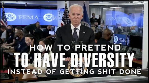 How to pretend to have Diversity instead of getting Sh!t done