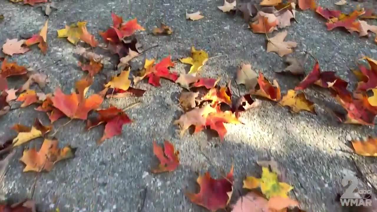 WMAR Fall Staycation: Peak times for Fall Foliage