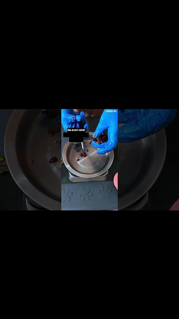 A MANDATORY ingredient in all homemade cat food #shorts