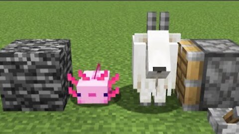 Minecraft - goat + axoloti = ???