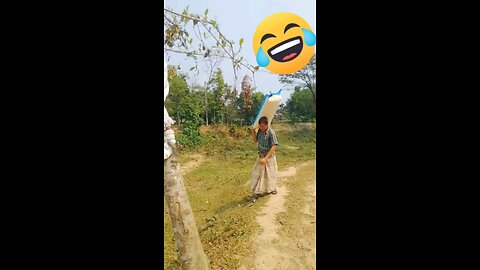 funny videos