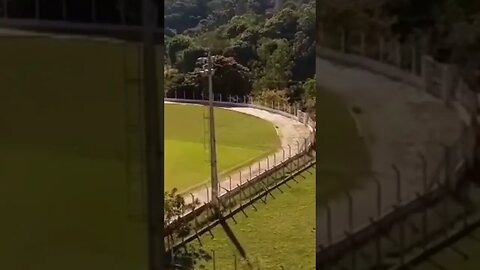 A vida é como futebol, uma hora você ganha, outra hora você perde.