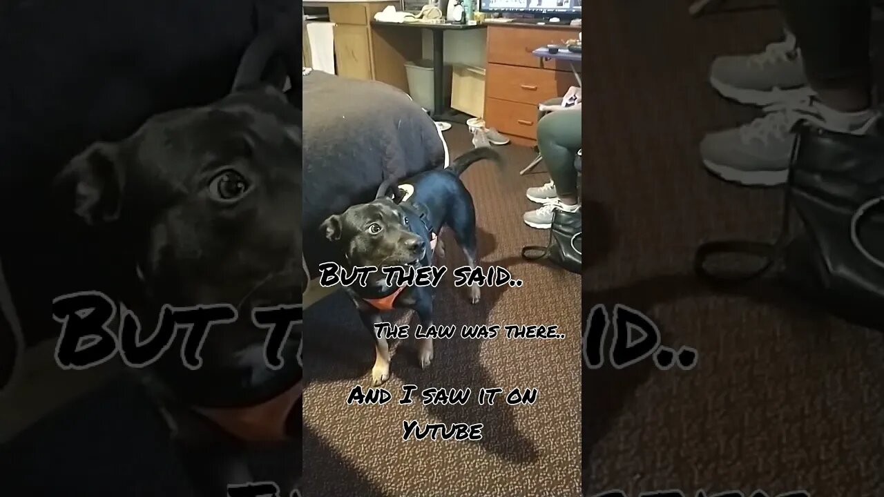 MAX FELL FOR THE CLICKBAIT- SHAME ON YOU!